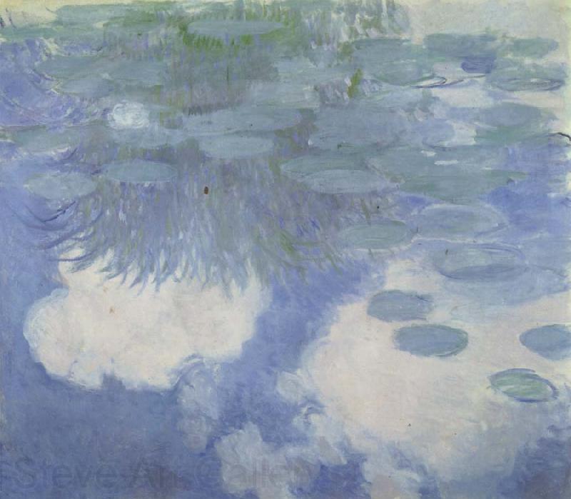 Claude Monet Water-Lilies France oil painting art